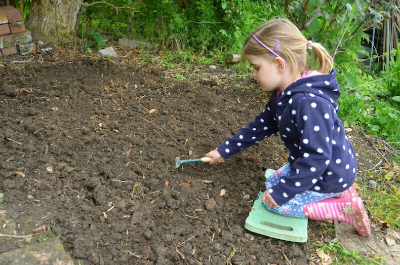 Child sowing poppy seeds