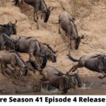 Nature Season 41 Episode 4 Release Date and Time, Countdown, When Is It Coming Out?