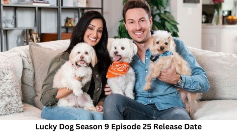 Lucky Dog Season 9 Episode 25 Release Date and Time, Countdown, When Is It Coming Out?