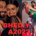 Bhediya (2022) Movie Box Office Assortment| Day Smart| Finances| Hit Or Flop & More