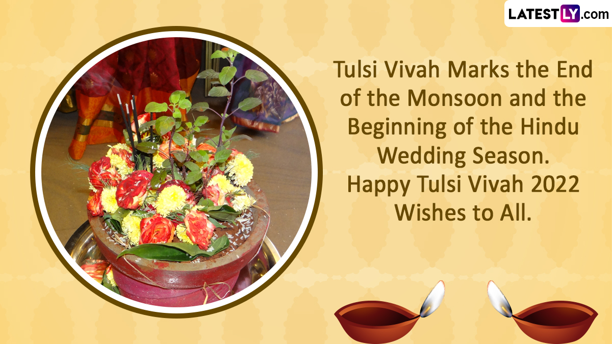 Happy Tulsi Vivah 2022 Greetings and Needs: Share WhatsApp Messages, Quotes, Tulsi Kalyanam Photographs, HD Wallpapers and SMS With Your Loved Ones