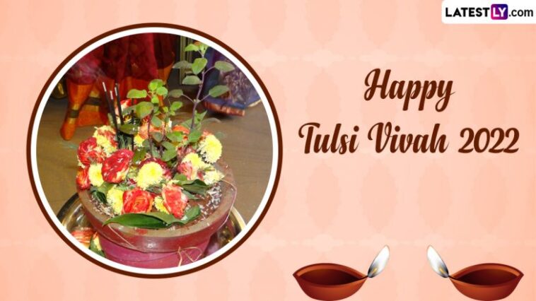 Tulsi Vivah 2022 Images & HD Wallpapers for Free Download On-line: Beautiful Needs, Greetings, WhatsApp Messages & Quotes To Send on the Auspicious Hindu Observance