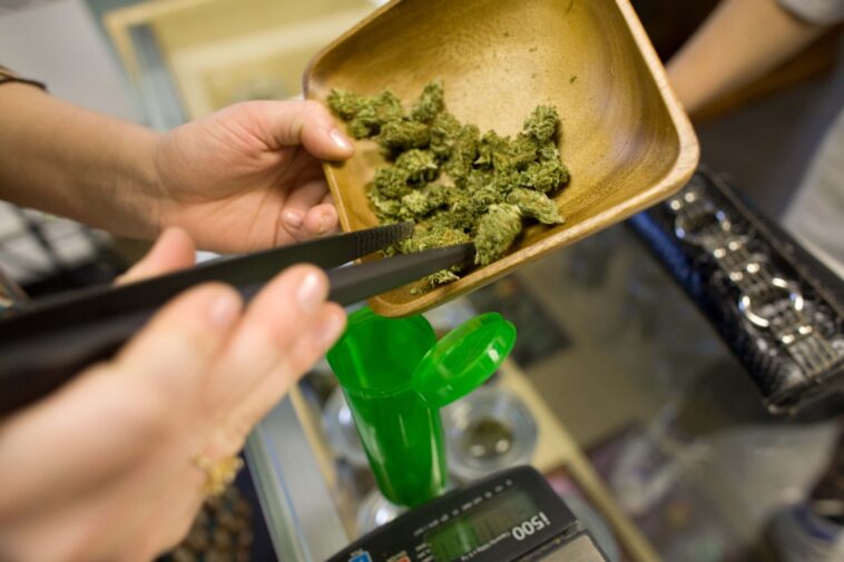 Here is How You Should Handle Medical Marijuana