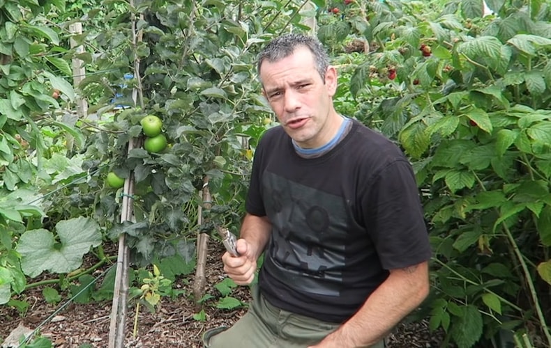 Man sitting in front of cordon fruit trees
