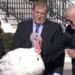 Thanksgiving 2022: US President Joe Biden Pardons National Thanksgiving Turkeys Chocolate and Chip at White House (Watch Video)