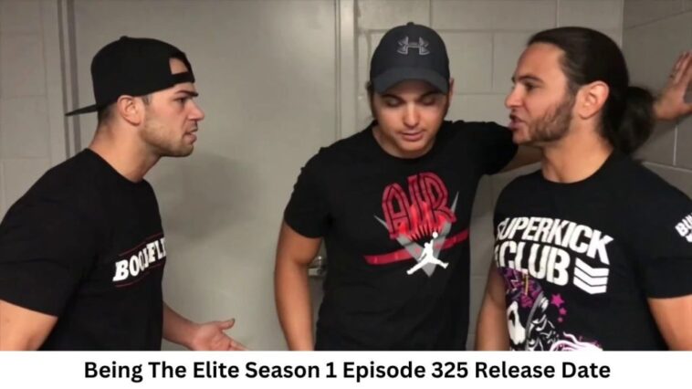 Being The Elite Season 1 Episode 325 Release Date and Time, Countdown, When Is It Coming Out?