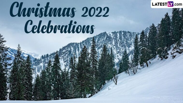 Christmas 2022 Celebrations: From Goa to Shillong, Here Are Some Travel Destinations in India That You Must Visit During Xmas - OKEEDA