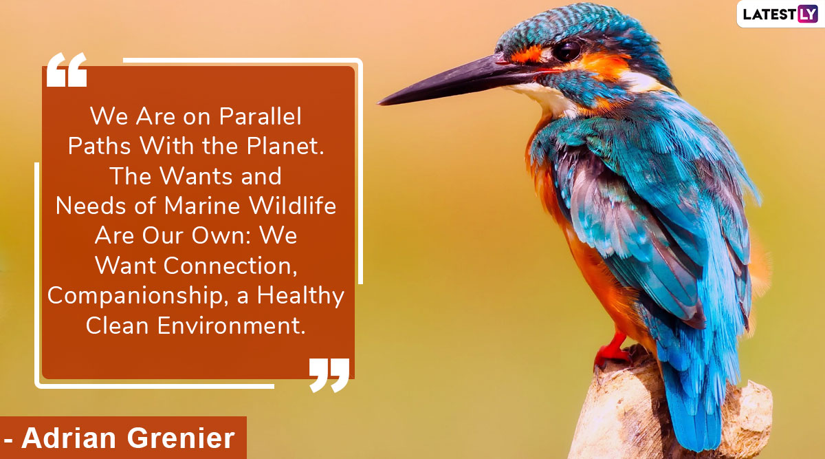 Wildlife Conservation Day 2022 Images and HD Wallpapers for Free Download On-line: Quotes, Messages and Sayings To Mark The Global Observance
