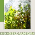December Gardening In Michigan