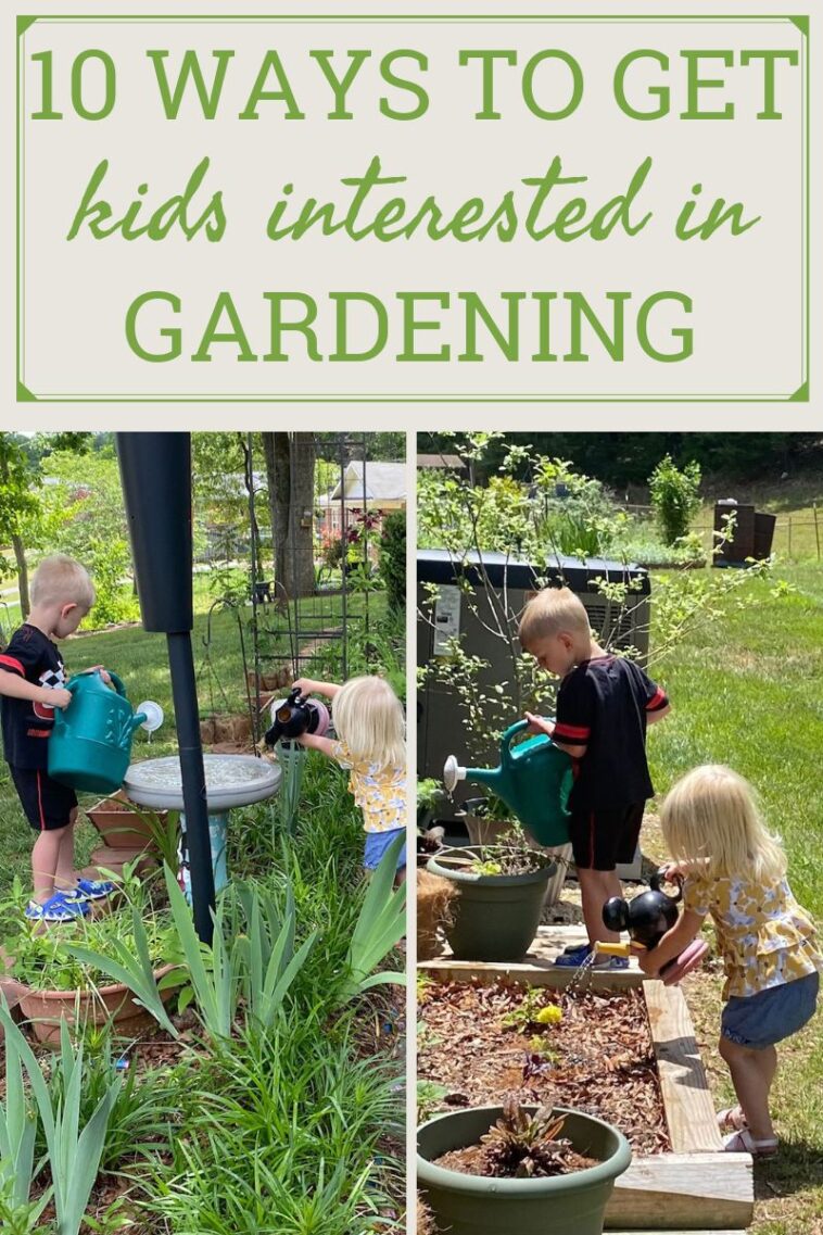 Ideas That Can Inspire An Interest In Gardening