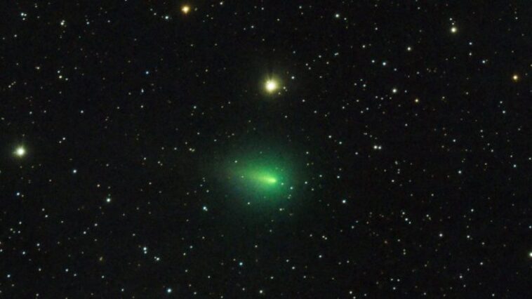 Green Comet 2023 in India Live Streaming, Date and Time in IST: Know When, Where and How To Watch Rare Green Comet Online