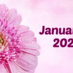 January 11, 2023: Which Day Is As we speak? Know Holidays, Festivals and Events Falling on Today’s Calendar Date