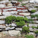 The Pros and Cons of Adding a Retaining Wall to Your Landscaping