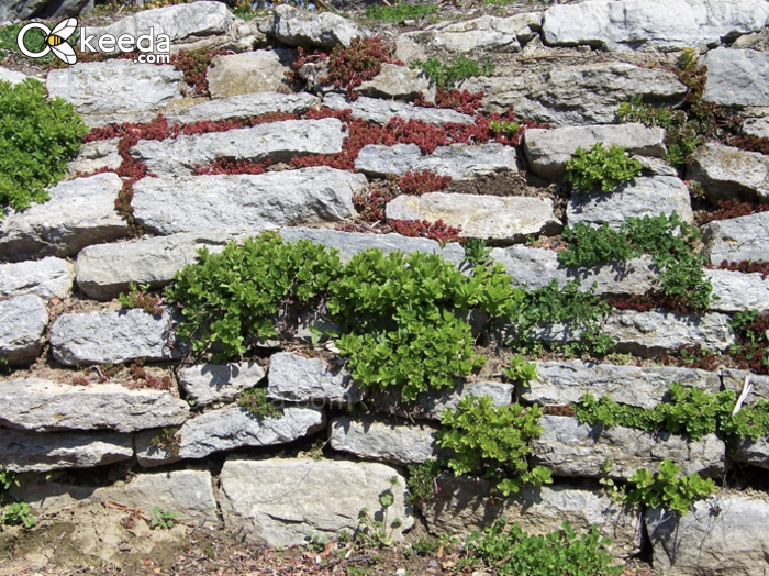 The Pros and Cons of Adding a Retaining Wall to Your Landscaping