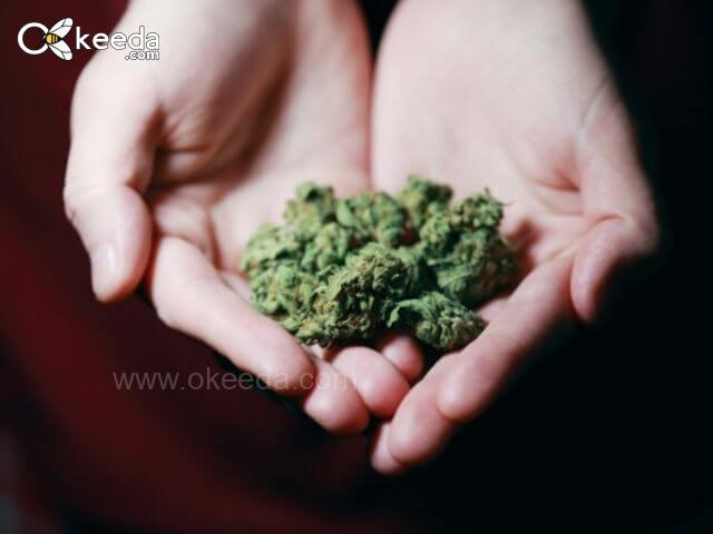 Therapeutic Effects of Consuming Marijuana