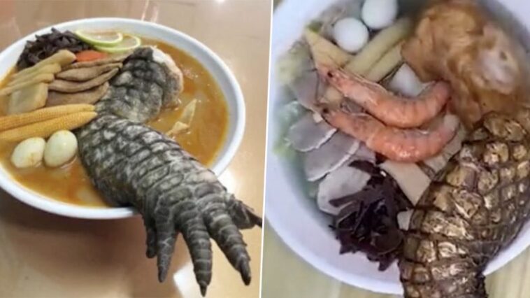 ‘Godzilla’ Ramen Video: Taiwanese Restaurant Serves Crocodile Leg on the Side of Noodles, Customer Describes It Surprisingly Delicious