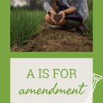 A Is For Amendment