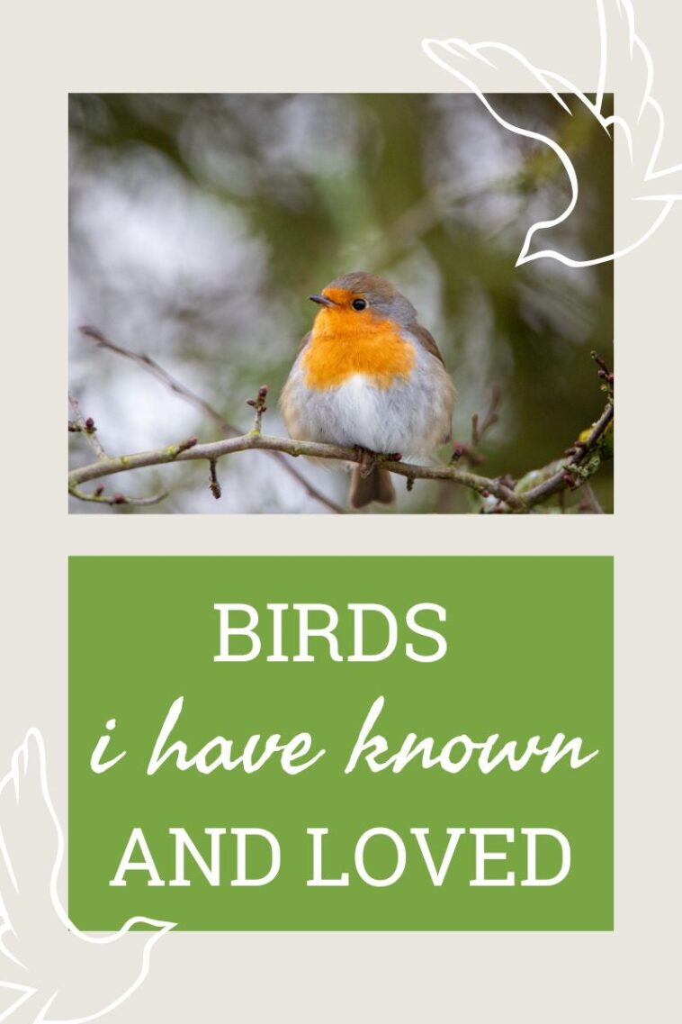 Birds I Have Known And Loved