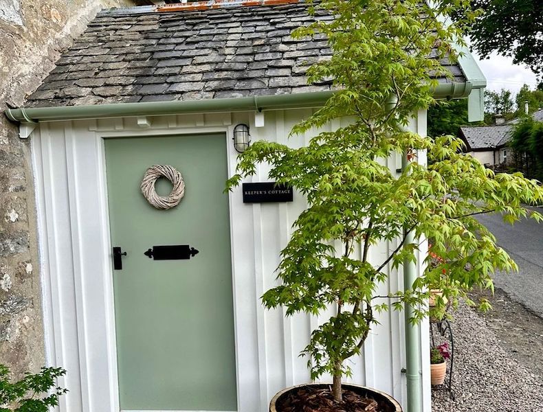 Acer tree in container flanking doorway