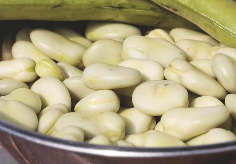 Broad bean beans in bowl