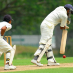 Navigating Cricket Games: An Overview for Beginners