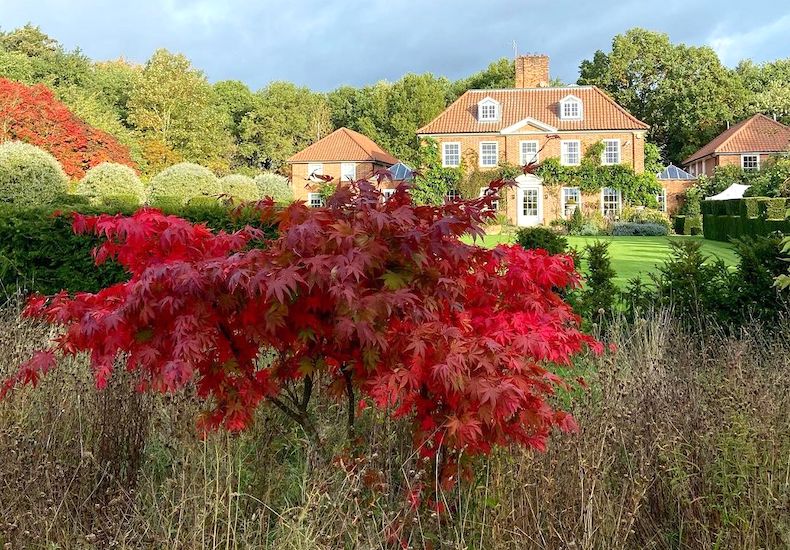 Manor house with red acer tree