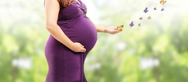 EGG DONATION IN DENMARK AND HOW TO FIND SURROGATE MOTHER IN HOLLAND