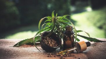 The Growing Popularity of CBD Products: Trends to Watch in the Industry