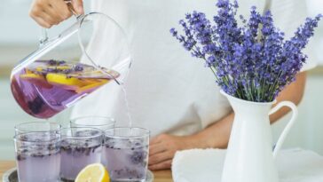Is All Lavender Edible? The Best Lavender For Herb Gardens